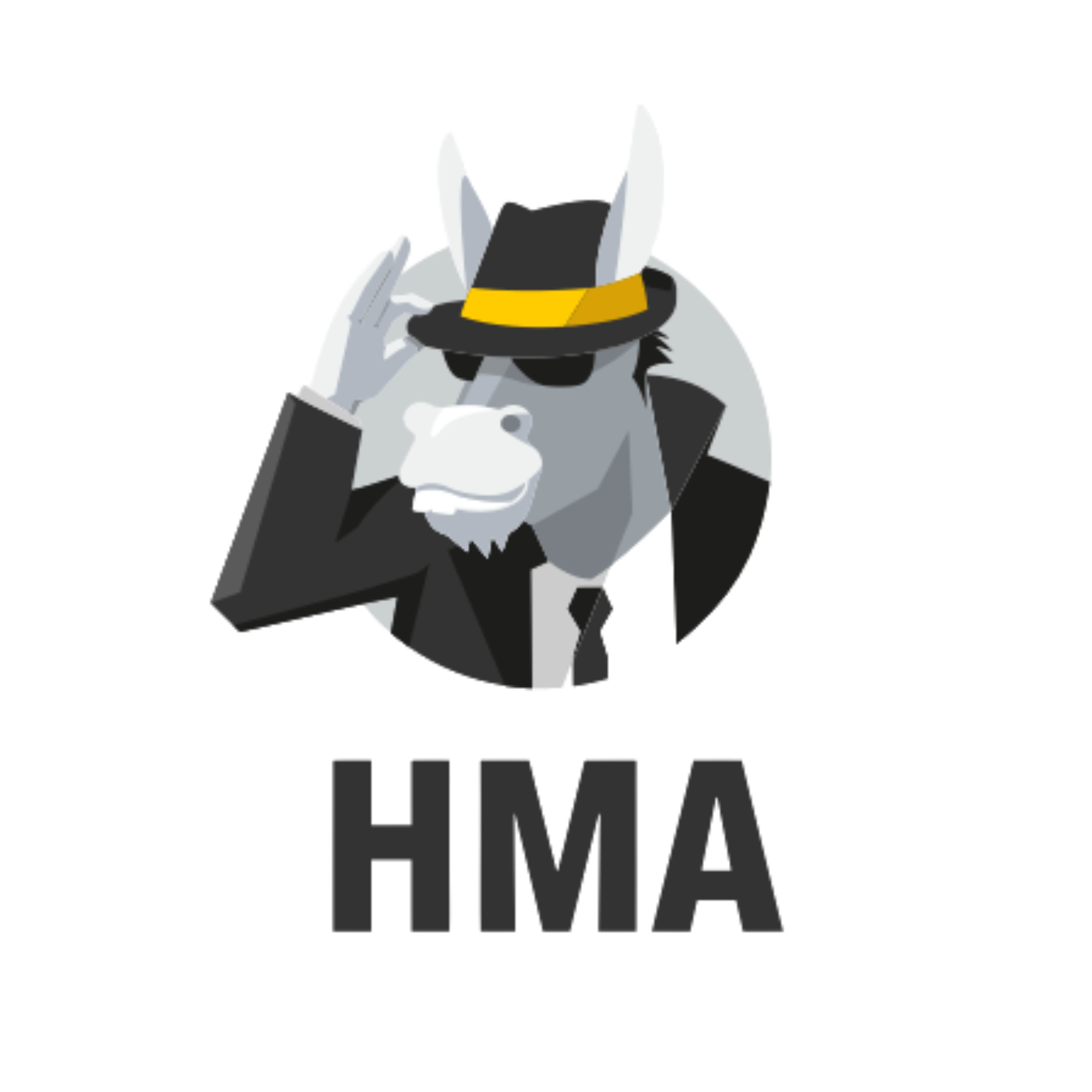 HMA VPN 1 BULAN